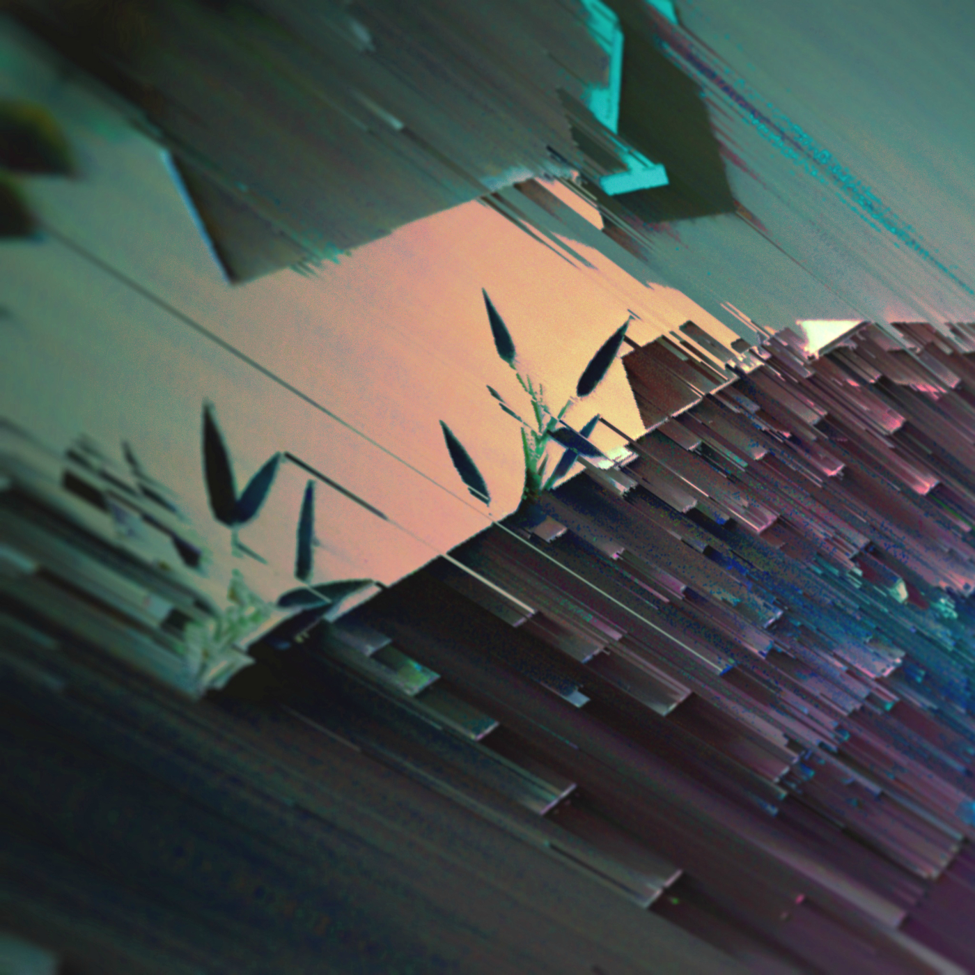 Plants grow from where the side of a building meets the sky. The sun sets behind the building as glitchy rain washes the view away.