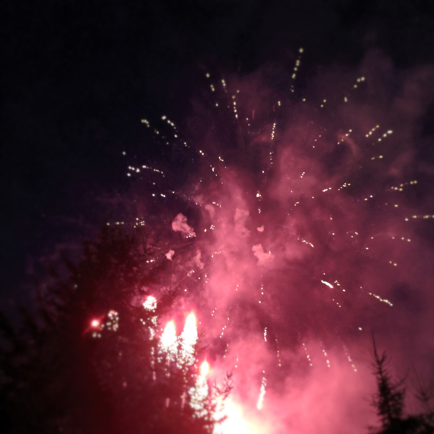 A bright, red firework goes off above pine trees at night.