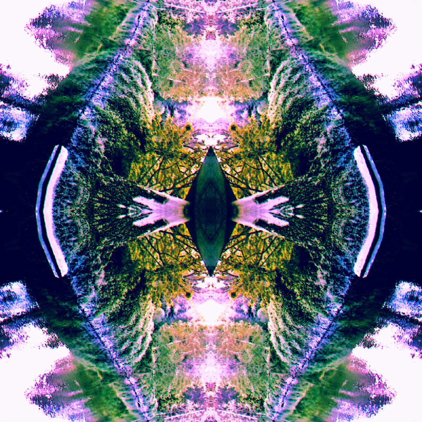 A central diamond shape is surrounded by a vertically mirrored scene of plants and water.