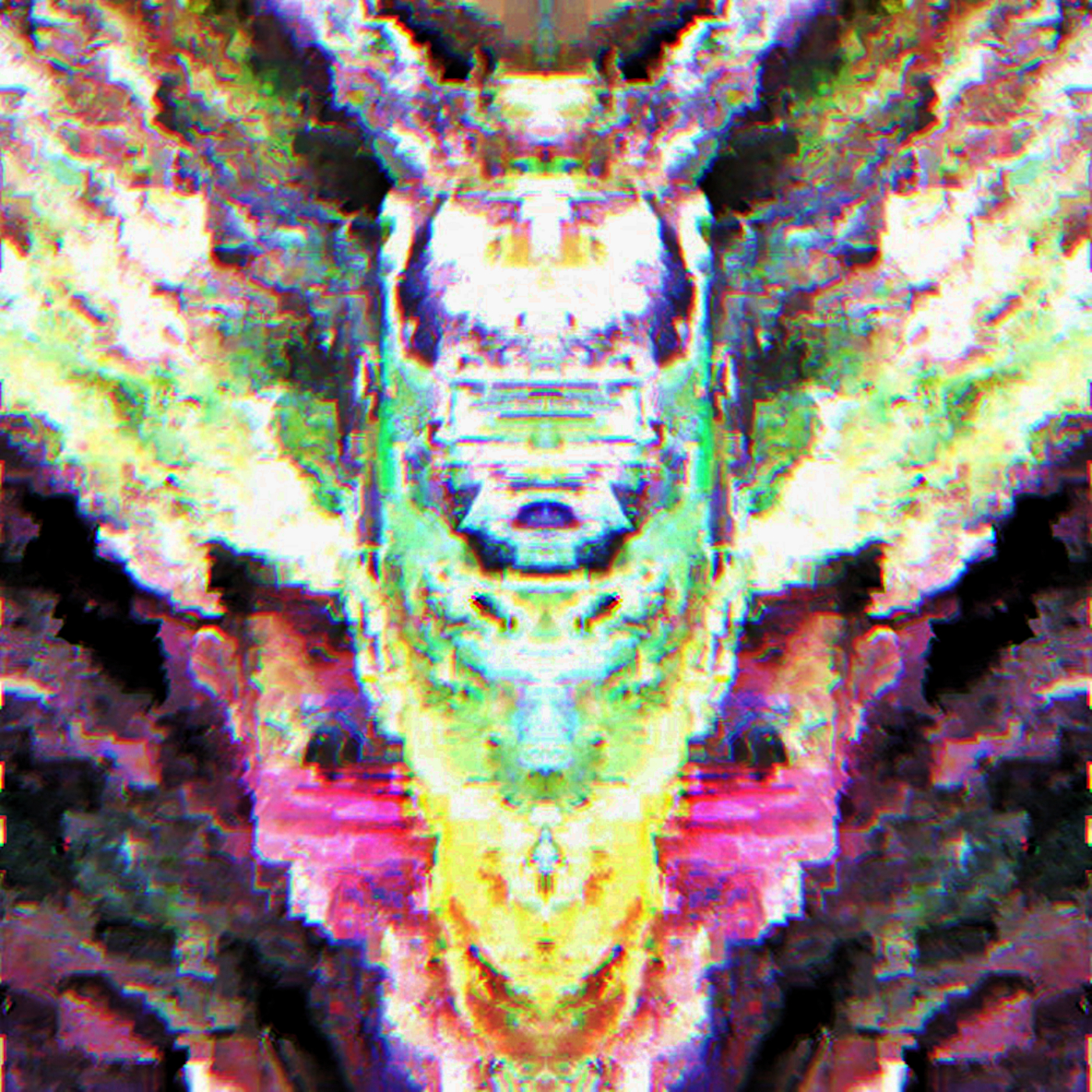 Vertically symmetrical feminine figure with heavily glitched aesthetic. Optical illusion makes it seem like her body is made of different faces.